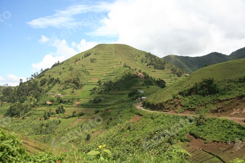 Preview: Rice Fields in Uganda, Africa