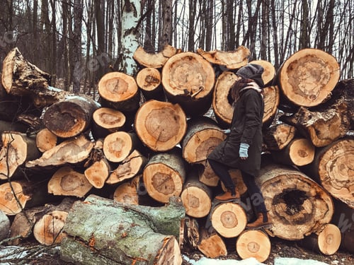 Preview: Wooden