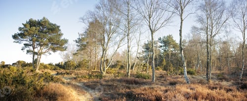 Preview: Photos from Denmark