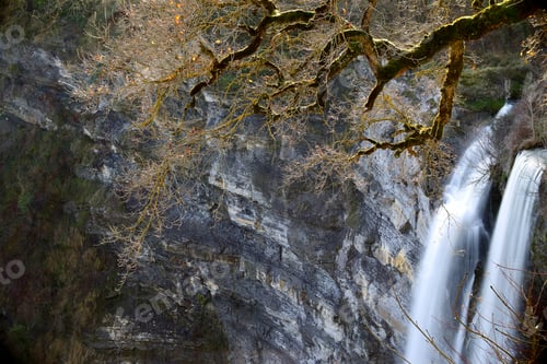 Preview: Autumn tree and waterfall