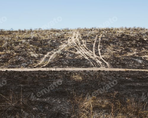 Preview: Roads extending through recently burned landscape