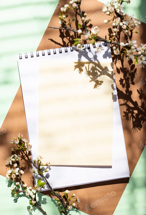 Preview: Empty card with shadow of a blooming tree