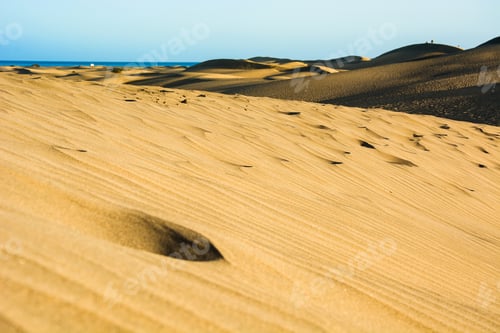 Preview: Windswept sand dunes meeting the ocean on a sunny day