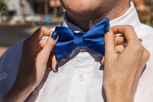 Preview: Elegant Blue Bowtie Detail with White Shirt