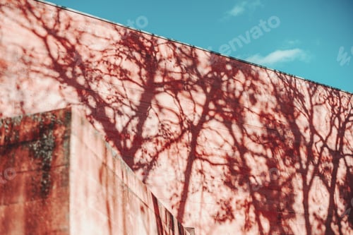 Preview: Red block walls with tree shadow