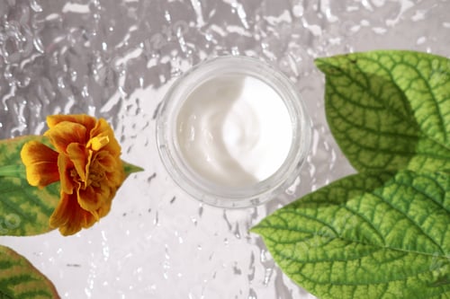 Preview: face protection cream for cold season. moisturizing face care, anti age and anti wrinkle therapy