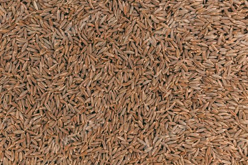 Preview: Top view of dried organic caraway seeds for a background