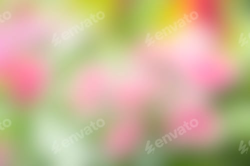 Preview: blur background , green mix colorful background