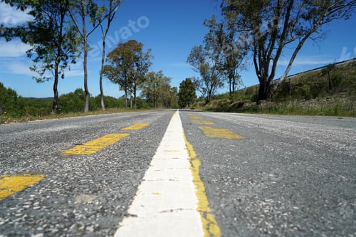 Preview: Roadway with trees on both sides