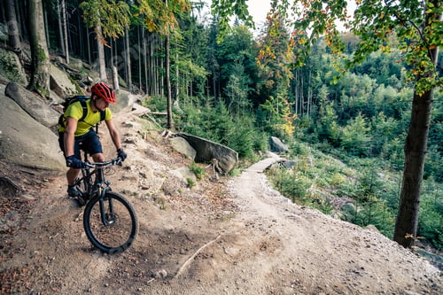 Preview: Mountain biker riding cycling in autumn forest