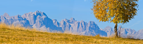 Preview: Monutanin Panorama