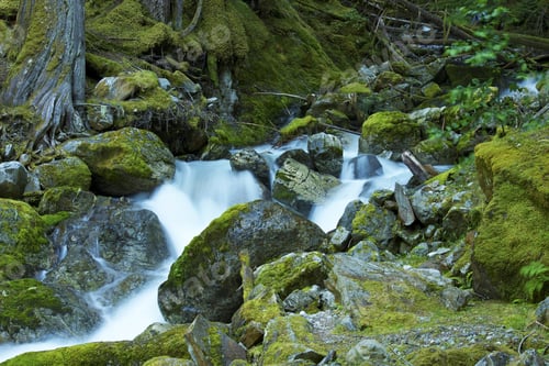 Preview: Mossy Mountain River