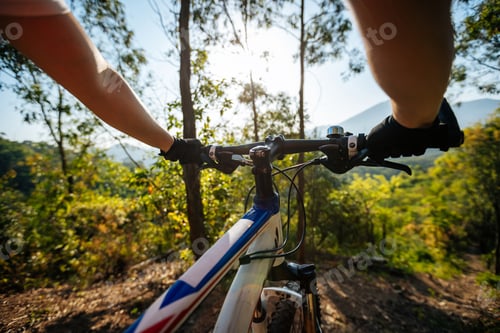 Preview: Mountain biking in spring forest