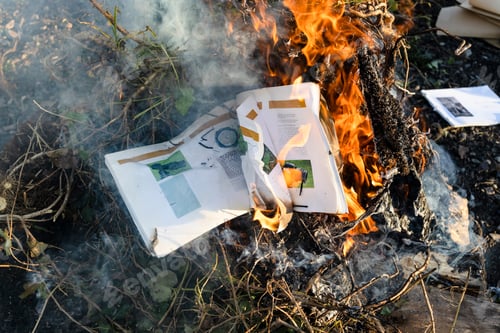 Preview: burning textbook on photography on branches