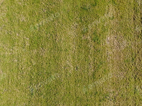 Preview: Aerial top view of grassland