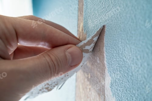 Preview: Male hand removes old blue paper wallpapers from the wall. Home renovation. Close-up.