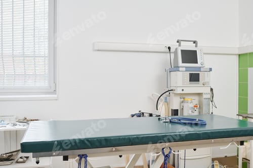 Preview: Exam Room In Vet Clinic