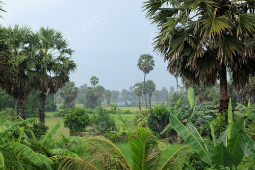 Preview: Wide angle shot of the gentle rain showering the lush misty rural countryside of Kampot, Cambodia