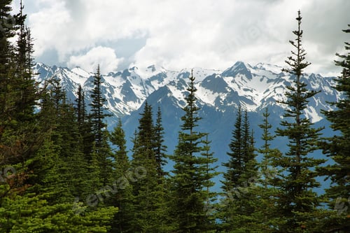 Preview: Hurricane Ridge of Olympic National Park, WA, USA