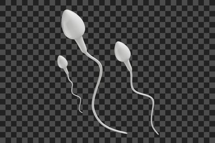 Preview: Sperm