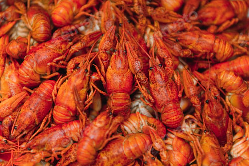 Preview: boiled crayfish on an iron plate. boiled red crayfish background for menu. top view