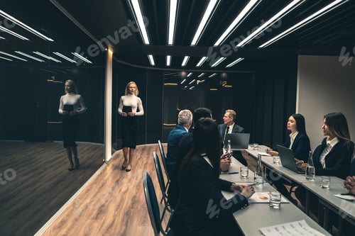 Preview: The business woman speaks on the conference.