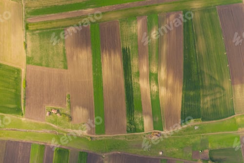 Preview: agricultural hills in spring. Seasonal work concept image.