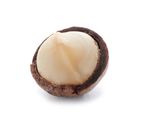 Preview: Organic Macadamia nut and shell on white background