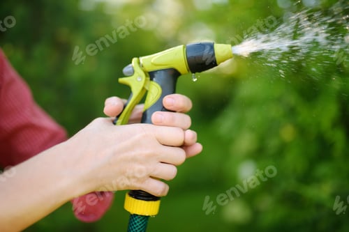 Preview: Woman gardener watering plants with garden hose with sprinkler in sunny backyard