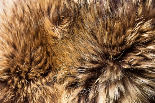 Preview: Background closeup of fluffy fox fur texture