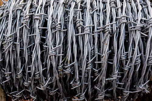 Preview: Full frame close up of roll of barbed wire.