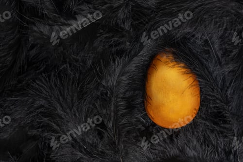 Preview: Half of a painted Easter golden egg on a soft and delicate background of black feathers