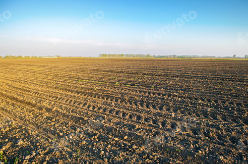 Preview: Plowed field after cultivation for planting agricultural crops