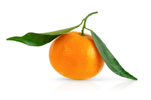 Preview: Mandarin with green leaves isolated on white background with clipping path.
