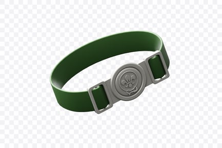 Preview: World Scout Belt