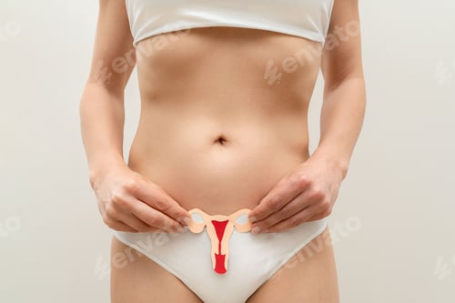 Preview: Close up of Woman holding paper-cut uterus ,reproductive health,menstruation and menopause awareness