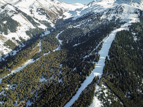 Preview: Snowy mountains with fir trees