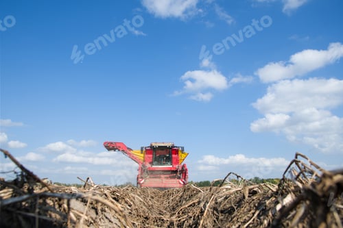 Preview: potato harvester
