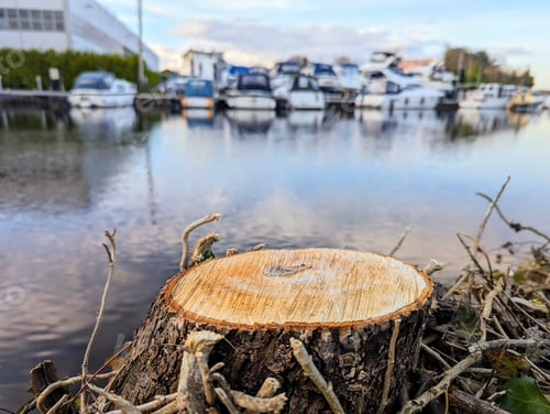 Preview: Natural wood podium, product presentation, yachts and boats in marina background