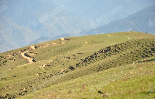 Preview: Beautiful view of grassland in Parashar, Himachal Pradesh