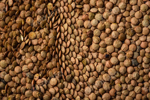 Preview: Food texture of green dry lentil.