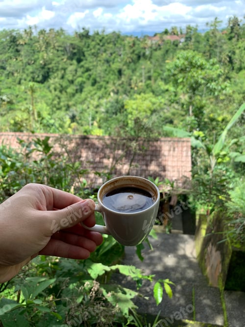 Preview: World Most Expensive Coffee, Luwak Coffee