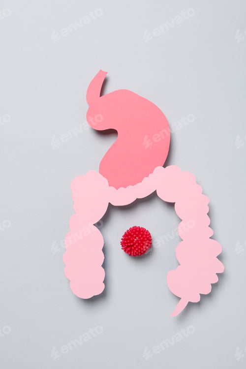 Preview: Concept of health care, stomach and intestinal problems