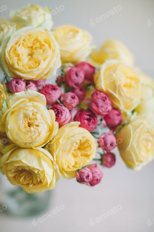 Preview: yellow