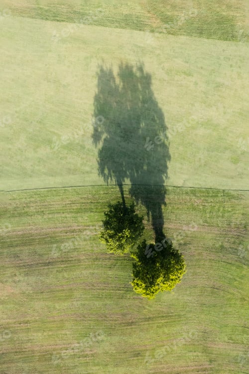 Preview: View of trees shadow aerial shot
