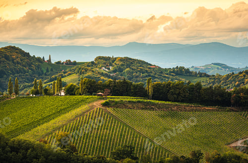 Preview: Styrian Tuscany Vineyard in autumn near Eckberg, Gamliz, Styria, Austria