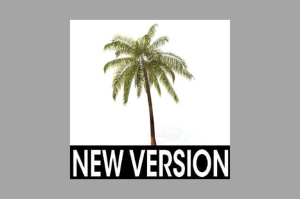Preview: Palm tree with fan-shaped leaves