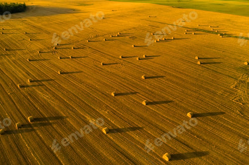 Preview: Straw bales on farmland with a blue cloudy sky.Harvested field with bales in Europe.Harvest.Belarus