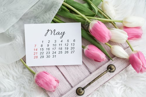 Preview: May calendar and tulips bouquet