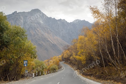 Preview: Empty road between in mountains between autumn forest.